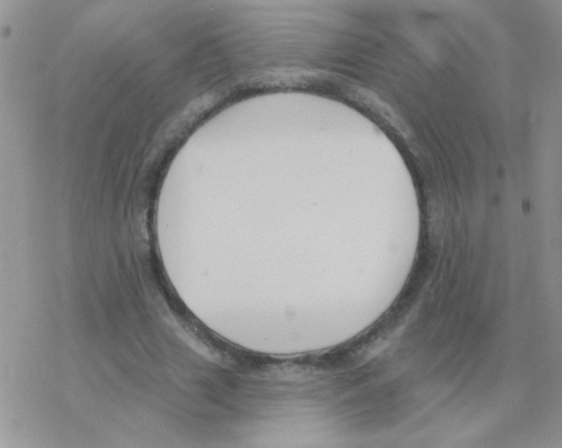 X0000077400633200611172105