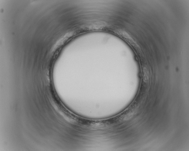 X0000077400634200611172105