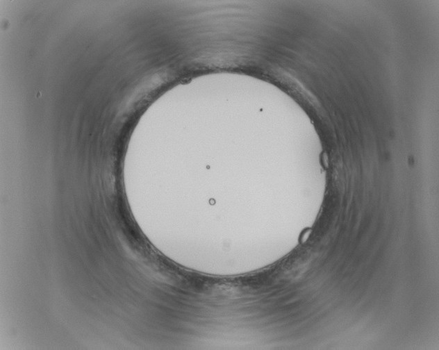 X0000077400635200611172105