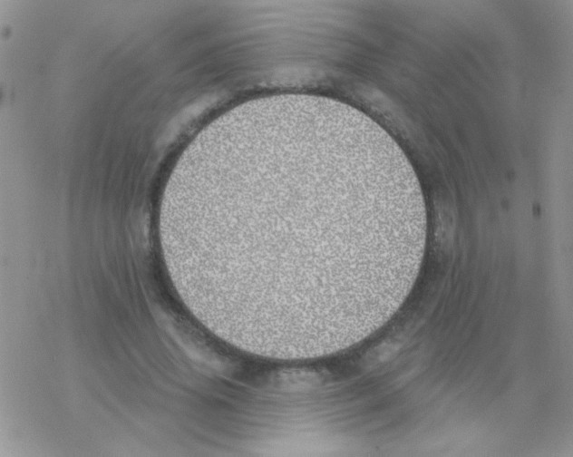 X0000077400636200611172105