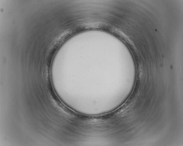 X0000077400637200611172105