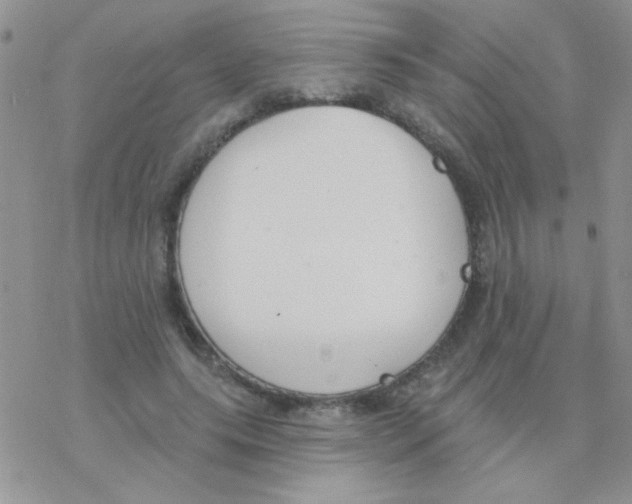 X0000077400639200611172105