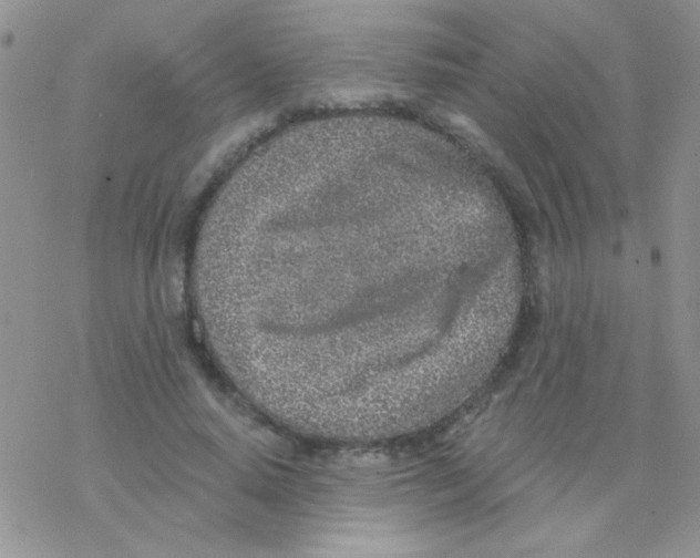 X0000077400640200611172105