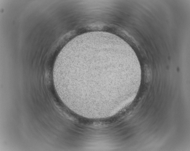 X0000077400641200611172105