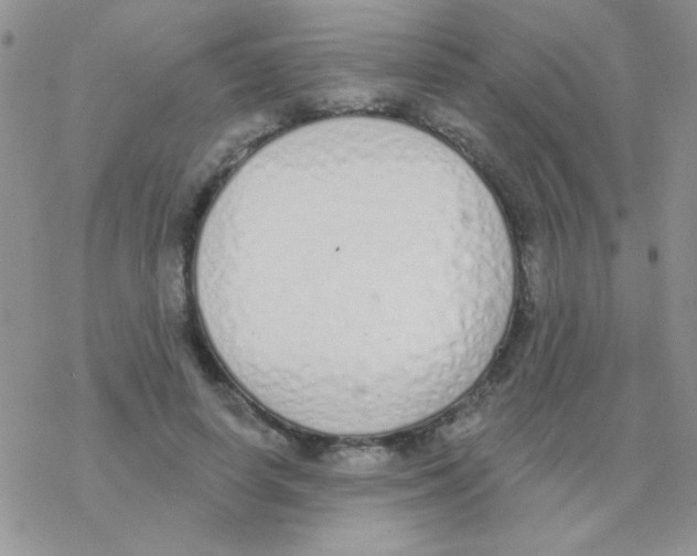 X0000077400642200611172105