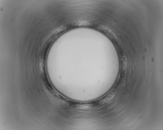 X0000077400643200611172105