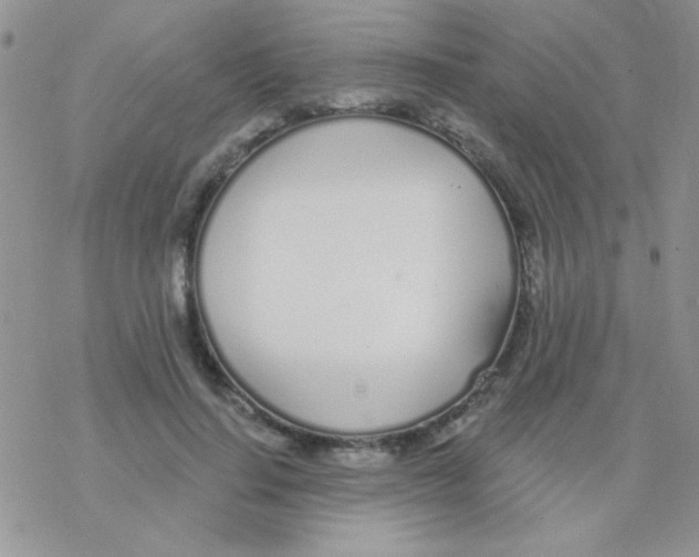 X0000077400644200611172105