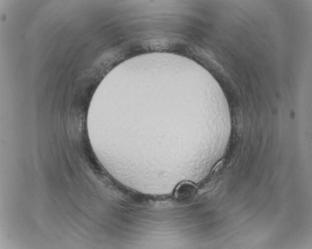 X0000077400645200611172105