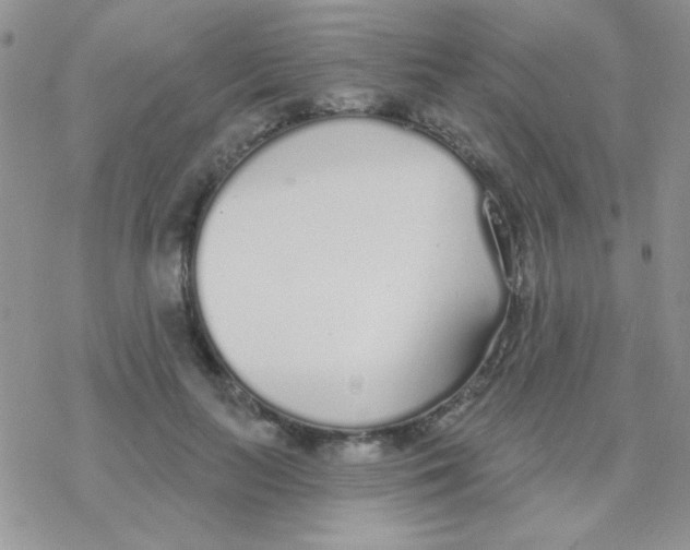 X0000077400647200611172105