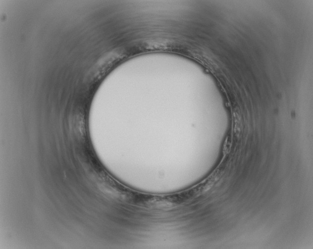 X0000077400648200611172105