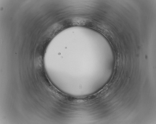 X0000077400649200611172105