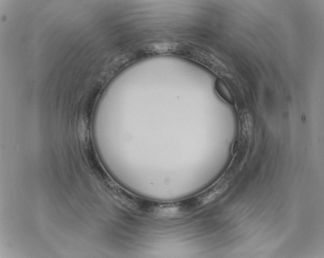 X0000077400651200611172105