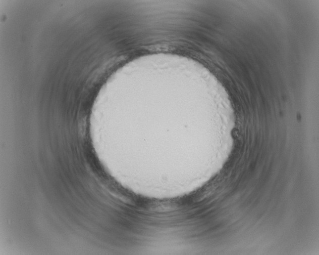 X0000077400652200611172105