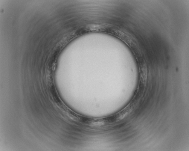 X0000077400653200611172105