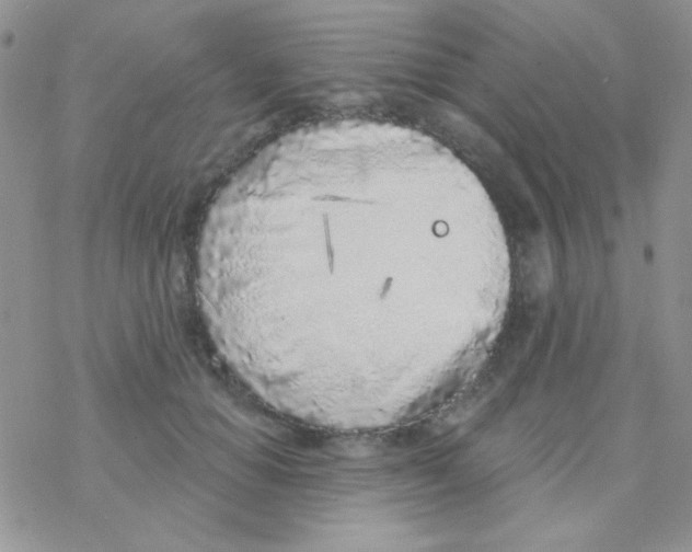 X0000077400654200611172105