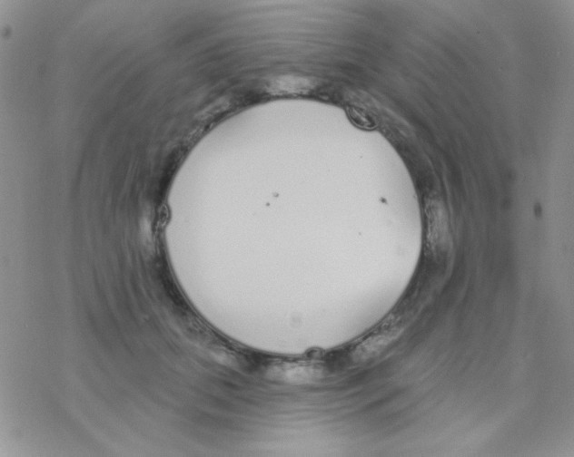 X0000077400655200611172105