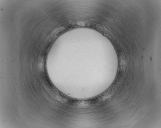 X0000077400656200611172105