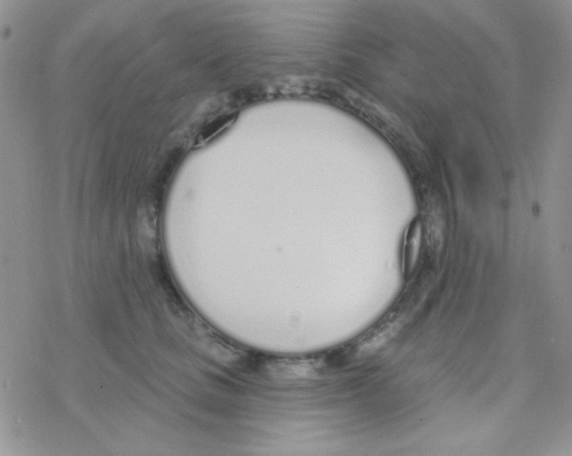 X0000077400661200611172105