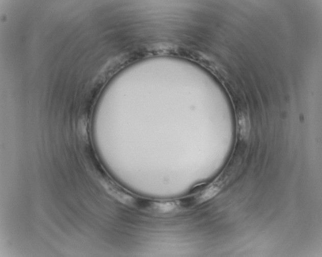 X0000077400662200611172105