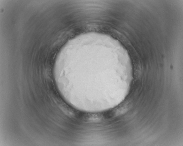 X0000077400663200611172105