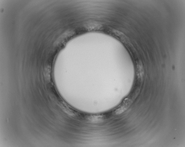 X0000077400664200611172105