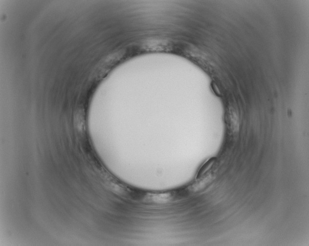 X0000077400665200611172105