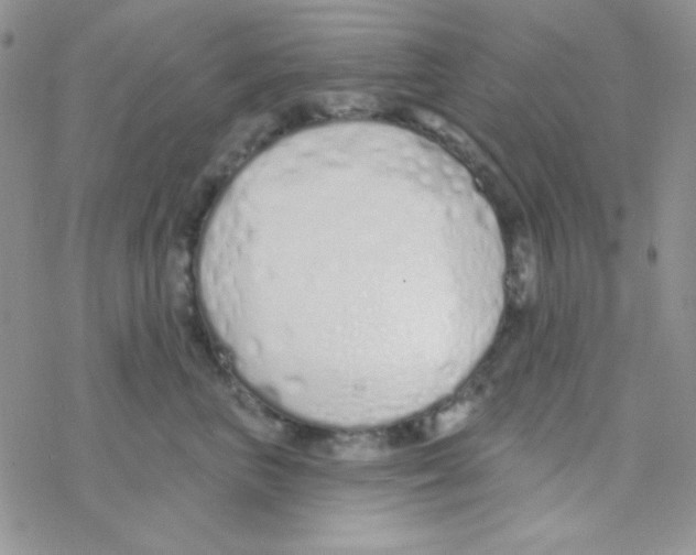 X0000077400667200611172105