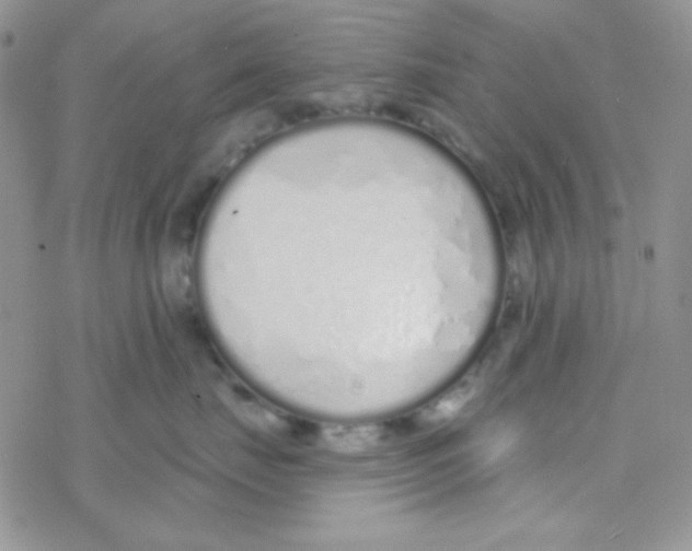 X0000077400671200611172105