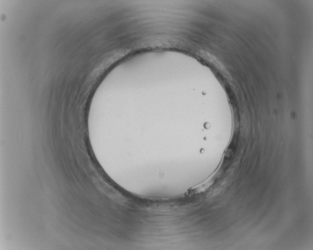 X0000077400673200611172105