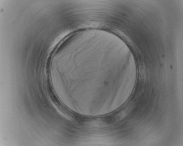 X0000077400674200611172105