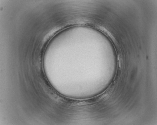 X0000077400675200611172105