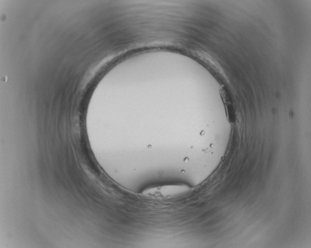 X0000077400676200611172105