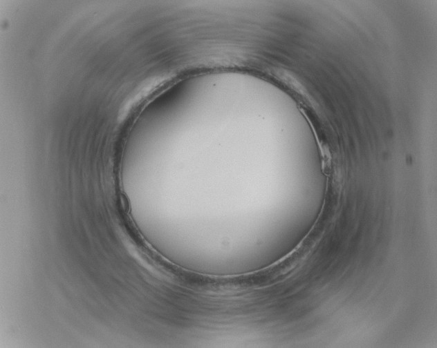 X0000077400677200611172105