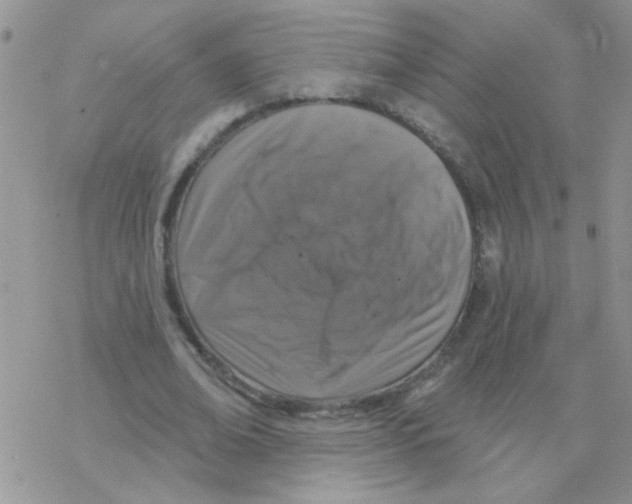 X0000077400678200611172104