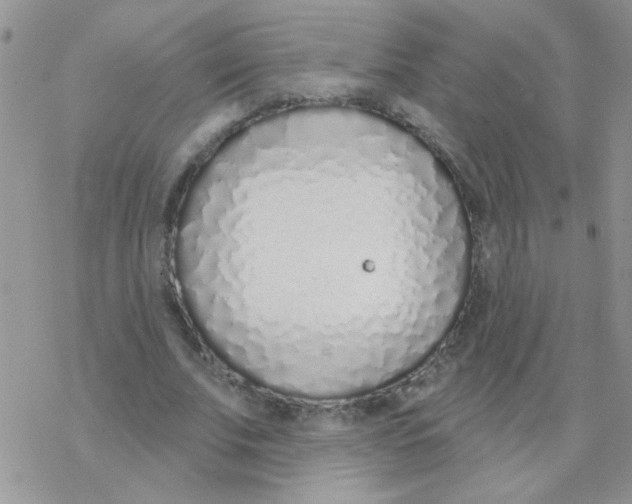 X0000077400679200611172104