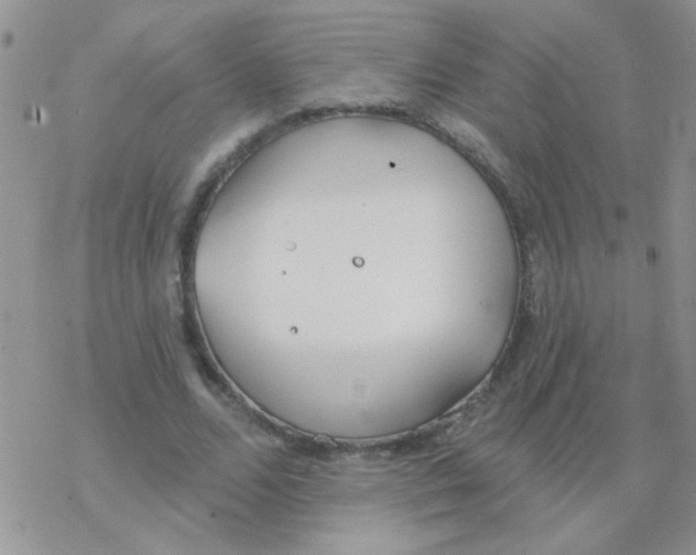 X0000077400680200611172104