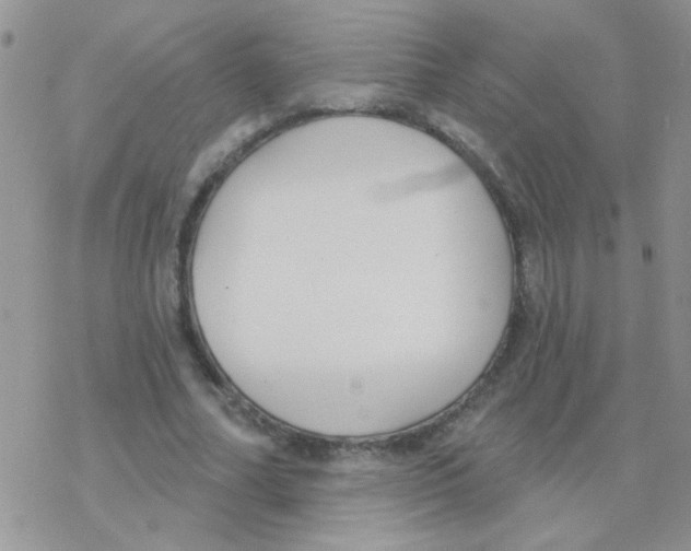 X0000077400682200611172104