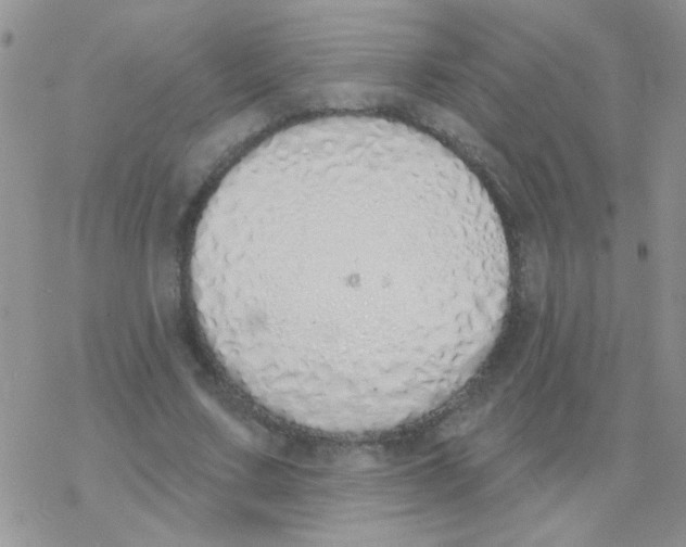 X0000077400683200611172104