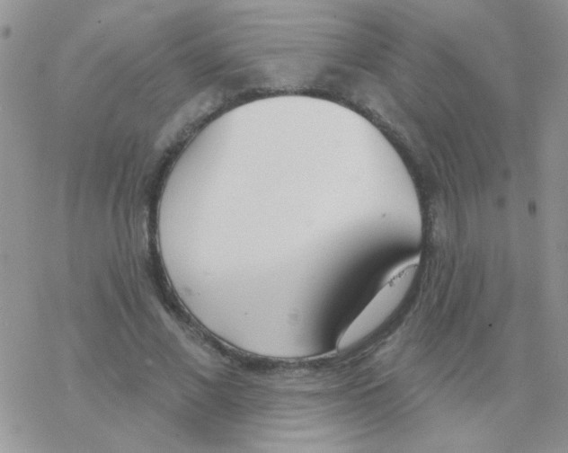 X0000077400685200611172104