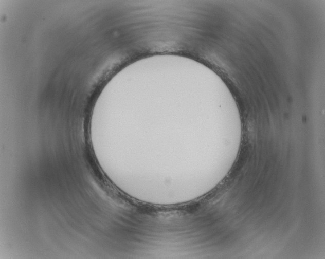 X0000077400686200611172104