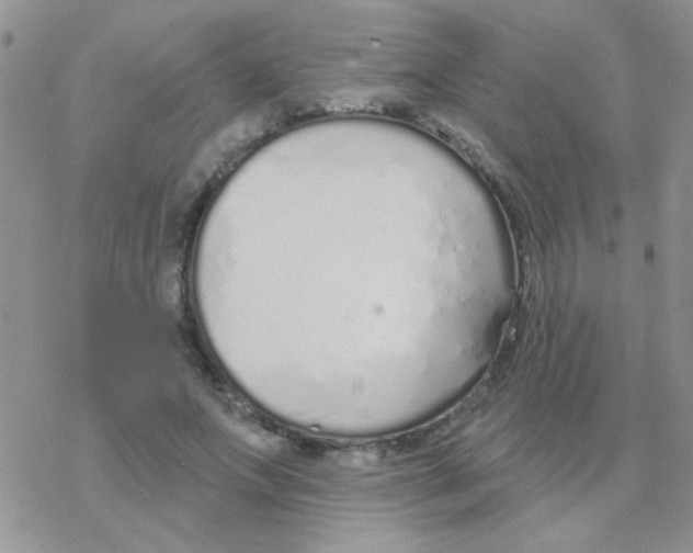 X0000077400687200611172104