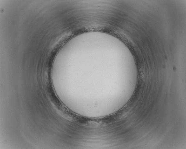 X0000077400690200611172104