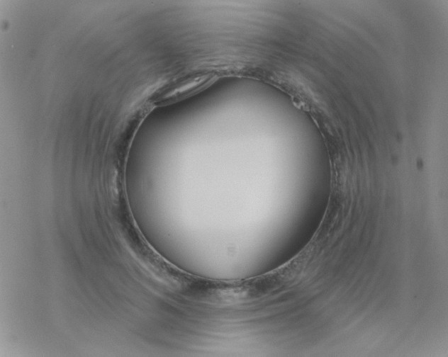 X0000077400692200611172104