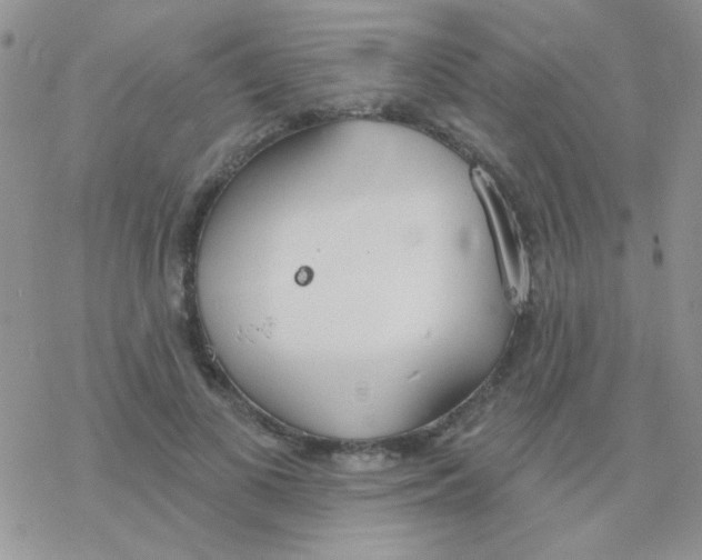 X0000077400693200611172104