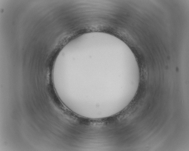 X0000077400694200611172104