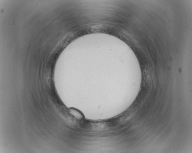 X0000077400698200611172104