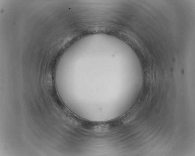 X0000077400700200611172104