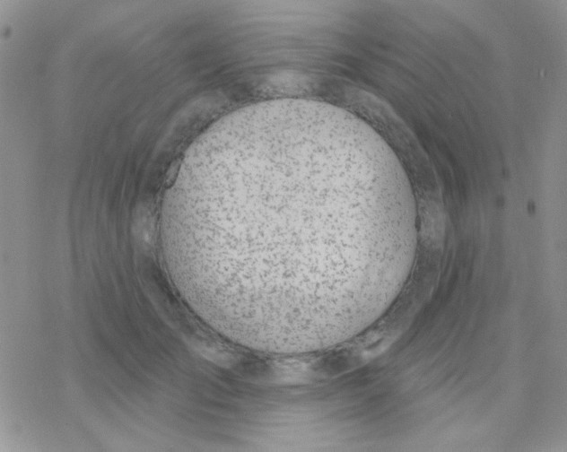 X0000077400701200611172104