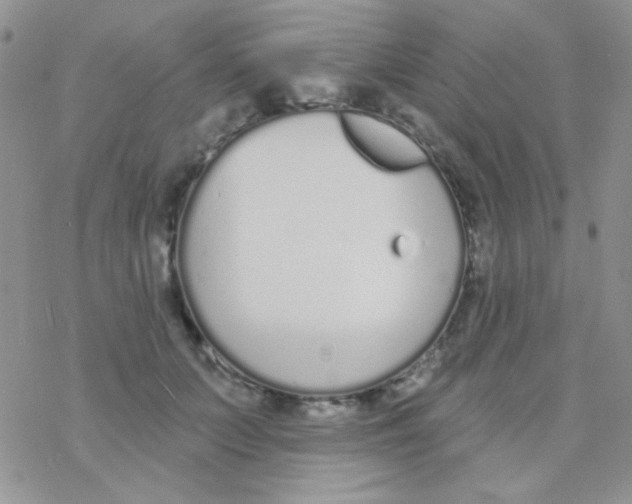 X0000077400703200611172104