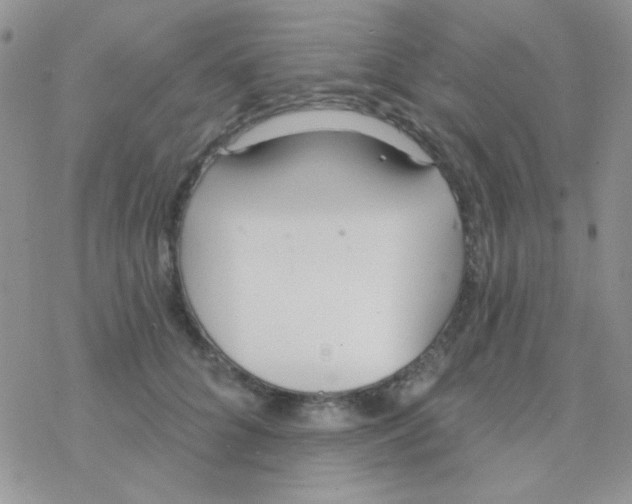 X0000077400704200611172104